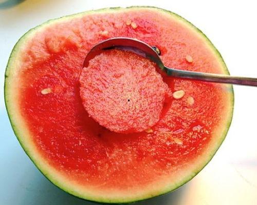 西瓜博物馆免费吃瓜,西瓜博物馆邀您体验瓜果盛宴